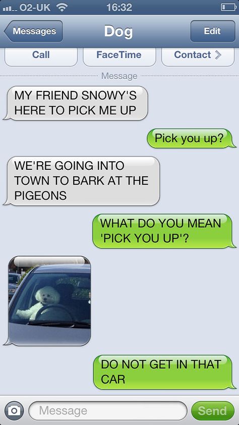 What If Dogs Could Text? 25 Hilarious Texts From Dogs If Dogs Could Text, Funny Dog Texts, Dog Texts, Hilarious Texts, Lol Text, Funny Text Conversations, Text Jokes, Text For Him, Text Conversations