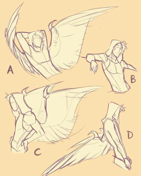 Wings Poses, Wing Poses, Ych Couple, Wing Reference, Wings Reference, Poses Sketch, Wings Drawing, Different Poses, Poses References