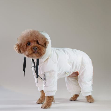 🐾 All-in-One Winter Protection! 🐾 Stay cozy from head to paw! Our full-coverage puffer jacket wraps your pup in warmth, protecting all four legs from the winter chill. Perfect for the adventurous dog who loves to explore, even in colder weather. ❄️💙 Dog Snowsuit, Dog Jackets Winter, Morning Walks, Winter Walk, Dog Coat, Pet Fashion, Dog Jacket, Winter Dog, Stay Active