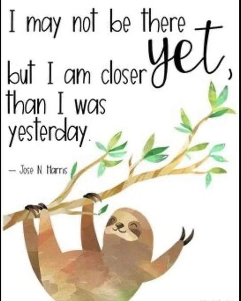 Have an amazing day ❤️ Sloth Decor, Sloth Quotes, Sloth Stuff, Cute Sloth Pictures, Sloth Meme, Sloth Quote, Sloth Life, Sloth Art, Classroom Quotes