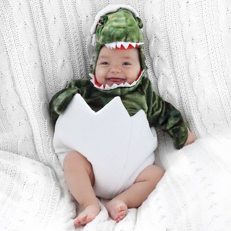 These dino costumes are dino-mite. Halloween Costumes Dinosaur, Dino Costume, Dinosaur Halloween Costume, Newborn Halloween Costumes, Dinosaur Halloween, Baby Boy Halloween, Newborn Halloween