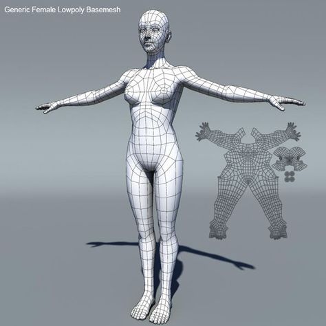 Generic Female Low Poly Base Mesh #AD #Female, #Generic, #Poly, #Mesh Female Topology, Character Topology, Rigging Animation, 3d Modeling Tutorial, Muscle Anatomy, Low Poly Art, Low Poly Models, Animation Reference, 3d Modelling