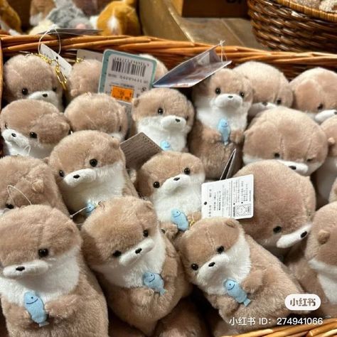 Otter Plushie Aesthetic, Otter Plushies, Photo Kawaii, Cute Squishies, Kawaii Plushies, Dessin Adorable, Cute Stuffed Animals, Cute Little Things, Cute Toys