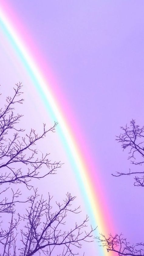 Sky With Trees, Rainbow Wallpaper Iphone, Light Purple Wallpaper, Hello Kitty Imagenes, Money Wallpaper Iphone, Free Wallpaper Backgrounds, Pink Wallpaper Girly, Pink Wallpaper Backgrounds, Amazing Facts For Students