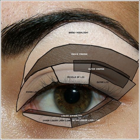 very helpful...no matter what colors are used #eyes #lashes #makeup #makeover #beautiful #beauty #fun #glamorous #stepbystep #inspiration #tips #tricks #eyeshadow #mascara #shadow #liner #eyeliner #glitter #pretty #cute #stepbystep Basic Eye Makeup, Make Up Guide, Teknik Makeup, Make Up Mata, Parts Of The Eye, Smink Inspiration, Blue Eye Makeup, Eye Make, All Things Beauty