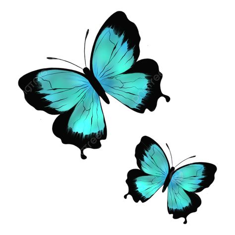 Turquoise Butterfly, Teal Butterfly, Butterfly Png, Transparent Clipart, Butterfly Butterfly, Butterfly Wing, Psd Files, Beautiful Butterflies, Png Transparent