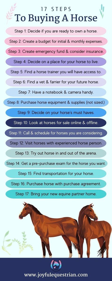 Horse Breeding Tips, Horse Buying Checklist, Horse Assesories Products, Tips For Horse Riding, Owning A Horse For The First Time, First Horse Checklist, How To Take Care Of A Horse, Horse Tips And Tricks, Horse Riding Tips For Beginners