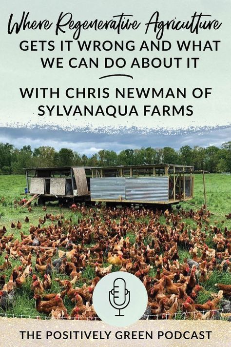 Episode 32 - Where regenerative agriculture gets it wrong and what we can do about it with Chris Newman of Sylvanaqua Farms - Green Willow Homestead #homesteading #regenerativeagriculture #farming #localfood #farmer Regenitive Farming, Regenerative Agriculture Design, Art Creative Ideas, Landscape Makeover, Regenerative Farming, Sustainable Food Systems, Regenerative Agriculture, Build House, Permaculture Gardening