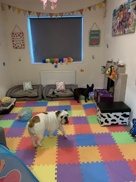 Flooring For Bedrooms, Dog Play Room, Dog Bedroom Decor, Dog Room Design, Dog Boarding Ideas, Dog Daycare Business, Dog Play Area, Hotel Pet, Dog Room Decor