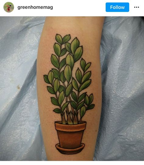 Traditional Eucalyptus Tattoo, Traditional Houseplant Tattoo, American Traditional Potted Plant Tattoo, Potted Plant Tattoo Traditional, Plant Tattoo Traditional, Potted Plant Tattoo, Plant Lover Tattoo, Traditional Tattoo Gap Fillers, Houseplant Tattoo