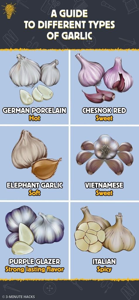 Types Of Garlic, Fruit Health, List Of Vegetables, Food Vocabulary, Culinary Techniques, Food Charts, Healthy Homemade Recipes, Cooking Guide, Food Info