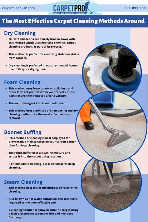 Carpet Cleaning Kent
Kent Carpet Cleaning 
Carpet Pro Carpet And Upholstery Cleaner, Cleaning Schedules, Carpet Cleaning Business, Food Tool, Construction Cleaning, Leadership Skill, Drill Brush, Carpet Cleaning Hacks, Carpet Cleaning Company