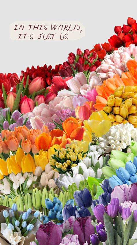 #harrystyles #rainbow #tulips #floral #asitwas Rainbow Tulips, Tablet Wallpaper, Connect With People, Your Aesthetic, Creative Energy, Harry Styles, Tulips, Tablet, Rainbow