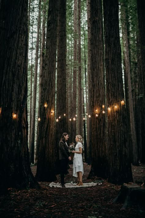 Campsite Wedding Ideas, Forest Wedding Groom, Build A Floating Bed, Forest Theme Wedding, Floating Bed, Redwood Forest, Woodland Wedding, Wedding In The Woods, Forest Wedding