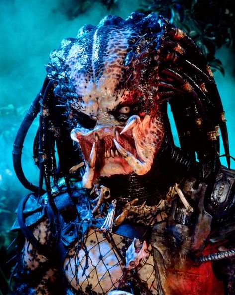 Predators Film, Predator Artwork, Predator Alien Art, Predator Movie, Best Horror Movies, Alien Vs Predator, Alien Vs, Best Horrors, Alien Art