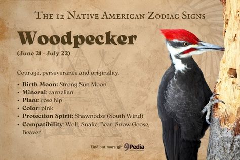 12 Native American Zodiac Signs & Their Characteristics #nativeamericanzodiac #zodiac Native American Zodiac Woodpecker, Birds Symbolism, July Zodiac Sign, Native American Zodiac, Eye Shading, Native American Drawing, Spirit Animal Meaning, Native American Totem, Animal Meanings