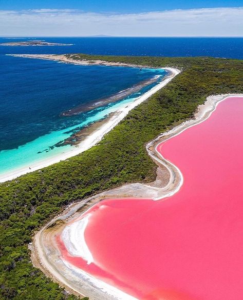 Western Australia Travel Aesthetic, Esperance Western Australia, Pink Lake Australia, Esperance Australia, West Coast Australia, Western Australia Travel, Australia Landscape, Green Scenery, Pink Lake