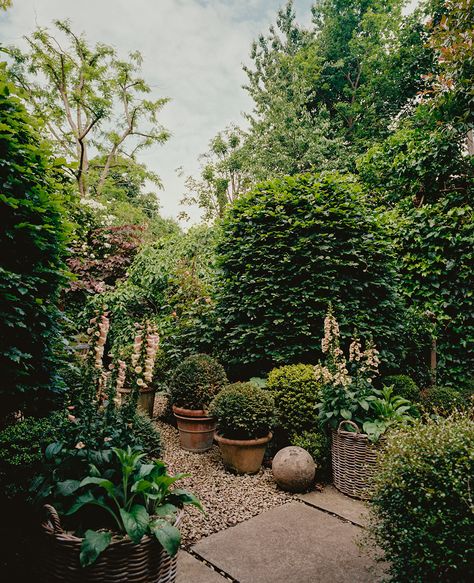 A Growing Concern: Nigel Slater on finding quietude in chaos Small English Garden, Front Yard Flower Bed, Flower Bed Decor, Unique Planters, Nigel Slater, Small Courtyard Gardens, Deep River, London Garden, City Garden