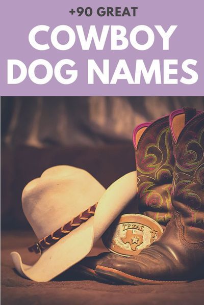 Our favorite cowboy-inspired dog names for little rascals and varmints! Cowboy Names For Boys, Mexican Girl Names, Southern Dog Names, Puppy Names Unique, Boy Puppy Names, Country Dog Names, Puppies Names Female, Dogs Names List, Dog Name Ideas