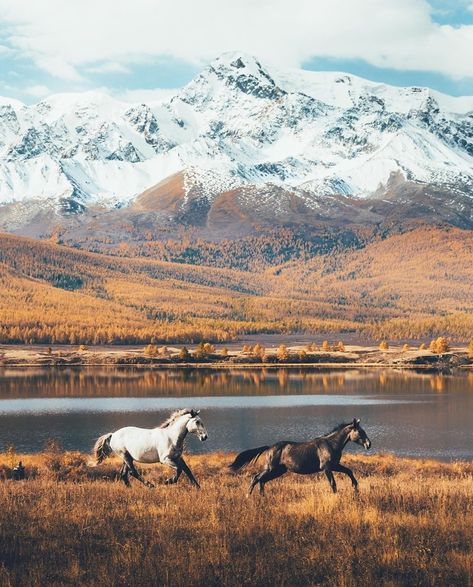 Russia Landscape, Russian Landscape, Altai Mountains, Mountains Aesthetic, Sky Landscape, Aesthetic Picture, Scenic Landscape, Life Is An Adventure, Beautiful Landscapes