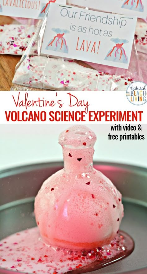 Volcano Experiment For Kids, Science Experiment Preschool, Valentines Day Science, Experiment Preschool, Preschool Valentine Cards, Free Valentines Day Cards, Free Valentine Cards, Science Valentines, Volcano Experiment