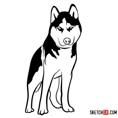 How to draw the Husky dog Husky Drawing Easy, Husky Drawing, Draw Dogs, Simple Face Drawing, Husky Faces, German Shepherd Husky, Pyrenean Mountain Dog, Art Markers Drawing, Easy Drawing Guides