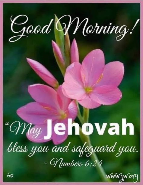 Spiritual Words Of Encouragement, Jehovah's Witnesses Humor, Good Morning Bible Quotes, Morning Bible Quotes, Jehovah Quotes, Happy Day Quotes, Jehovah Witness Quotes, Jehovah Witness, Beautiful Morning Quotes