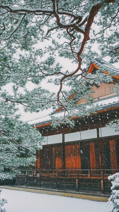 Snowing in Japan - Tap to see more #beautiful #snow & #snowflakes #winter wallpaper - @mobile9 Japan Winter Wallpaper, Winter Wallpaper Iphone, Winter Iphone Wallpaper, Snow In Japan, Iphone Wallpaper Japan, Asian Wallpaper, Japan Winter, 11 Wallpaper, Winter Iphone