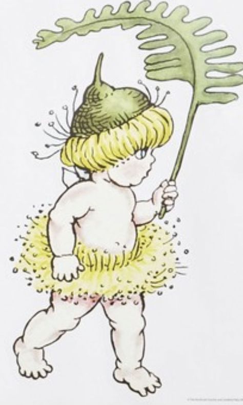 May Gibbs Tattoo, Gumnut Tattoo, Snowdrop Fairy Tattoo, Gum Nut Baby Tattoo, Botanical Fairy Tattoo, Gumnut Babies Tattoo, May Gibbs Illustrations, Gumnut Baby, Old Fairy Illustration