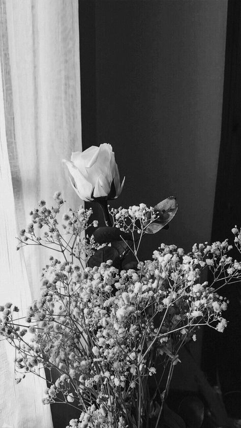 Wallpaper Bunga Iphone, Sudah Waktunya, Pin Wallpaper, Wallpaper Estetika, Wallpaper Wa, Black And White Photo Wall, Wallpaper Hp, Black And White Picture Wall, Vintage Flowers Wallpaper