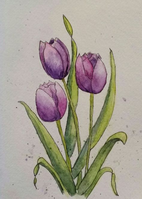 Beautiful Acrylic Painting, Tulip Drawing, Watercolor Pencil Art, Tulip Painting, Watercolor Tulips, Watercolor Paintings For Beginners, Diy Watercolor Painting, Purple Tulips, Watercolor Flower Art