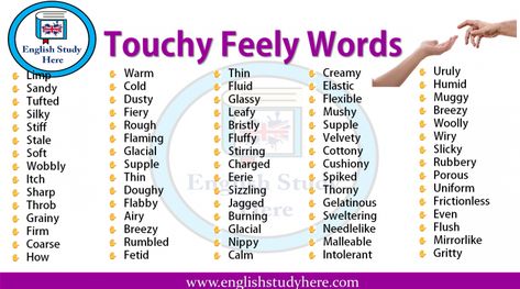 Touchy Feely Words Touchy Feely Words, English Opposite Words, Ielts Vocabulary, English Knowledge, English Grammar Rules, Proper English, English Teaching Materials, Opposite Words, Descriptive Words