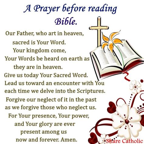 A prayer before reading Bible Prayers Before Reading The Bible, Pray Before Reading The Bible, Prayer Before Reading The Bible, Prayer Binder Ideas, Bible Meditation, Reading Your Bible, Study Prayer, Lent Prayers, Reading Bible