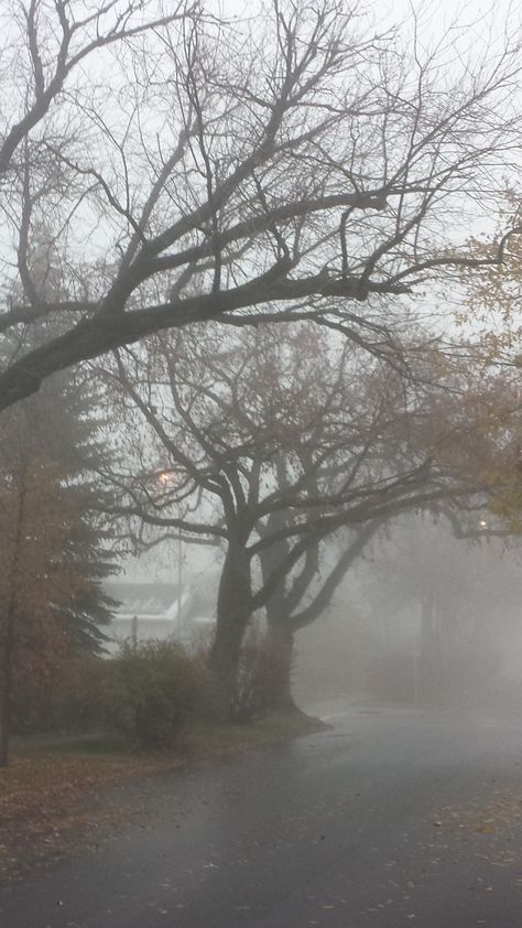 Foggy Street Aesthetic, Foggy Winter Aesthetic, Foggy Neighborhood, Foggy Aesthetic City, Foggy Morning Aesthetic, Calgary Aesthetic, Misty Aesthetic, Foggy Rain, Foggy Town