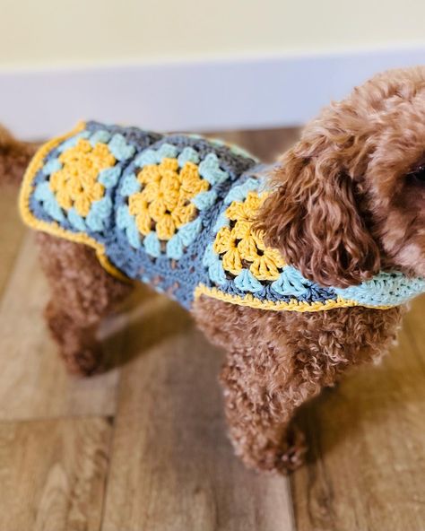 Granny Square Pet Sweater, Crochet Granny Square Dog Sweater Free Pattern, Granny Square Dog Bandana, Granny Square Dog Sweater Free Pattern, Granny Square Cat Sweater, Crochet Granny Square Dog Sweater, Granny Square Dog Sweater Pattern, Crochet Dog Jumper, Crochet Puppy Sweater