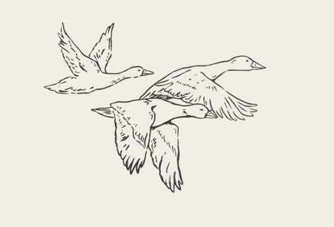 drawn ducks in flight (very plain, cannot tell which ducks!) Ducks Flying Drawing, Duck Flying Drawing, Flying Duck Illustration, Duck Tattoos Realistic, Ducks Flying Tattoo, Duck Flying Tattoo, Duck Duck Goose Tattoo, Flying Duck Tattoo, Wild Goose Tattoo