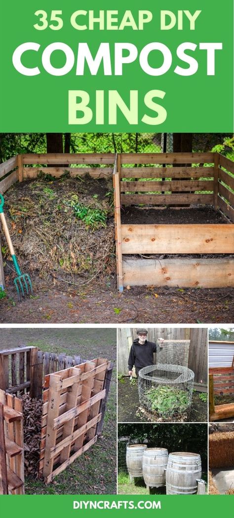 Build Compost Bin, Serre Diy, Composting Ideas, Natural Plant Fertilizer, Compost Bin Pallet, Compost Heap, Making A Compost Bin, Composting 101, Compost Container