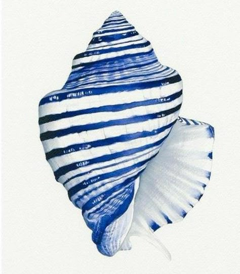 Blue Coral Art, Shell Drawing, Seashell Painting, Watercolor Ocean, Water Colours, Seashell Art, Sea Art, Water Water, Shell Art