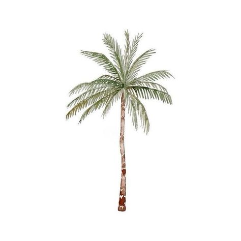 Agarbatti Packaging, Tropical Icons, Palm Tree Clipart, Print Development, Palm Tree Icon, Palm Tree Sticker, Essential Clothing, Fruit Market, Henna Night