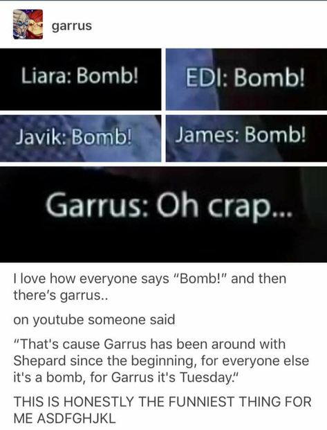 Mass Effect Quotes, Tali Mass Effect, Mass Effect Comic, Mass Effect Tali, Mass Effect Ships, Mass Effect Garrus, Mass Effect Funny, Garrus Vakarian, Mass Effect Games