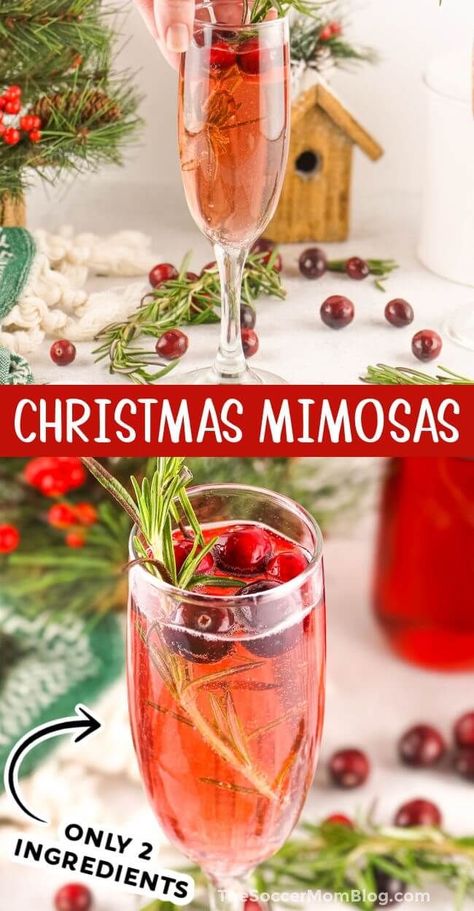 Fun, festive, and fancy, these cranberry Christmas mimosas will make your holiday celebrations a toast to remember! Easy to make with just 2 ingredients! Try this elegant Christmas cocktail today! Cranberry Mimosas, Cranberry Mimosa, Christmas Drinks Recipes, Mimosa Recipe, Thanksgiving Drinks, Cranberry Cocktail, Holiday Cocktail, Champagne Cocktail, Christmas Brunch