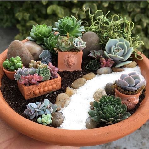 62 DIY Miniature Fairy Garden Ideas to Bring Magic Into Your Home Fairy Garden Pots, Succulent Landscape Design, Mini Zen Garden, Succulent Garden Design, Succulent Landscaping, Fairy Garden Designs, Succulent Garden Diy, Mini Fairy Garden, Meteor Garden 2018