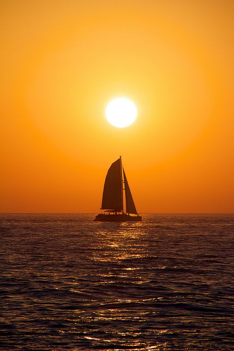 Sunset Sailing, Sunset Images, Nature Tour, Tall Ship, Boat Art, Boat Painting, Sun Rise, Sunrises And Sunsets, Sail Boats