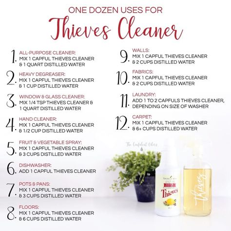 Thieves Household Cleaner Recipe, Thieves Cleaner Recipe, Natural Cleaner, Thieves Cleaner, Thieves Household Cleaner, Thieves Essential Oil, Essential Oils 101, Essential Oil Diffuser Blends Recipes, Young Living Essential Oils Recipes