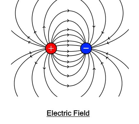 Electricity And Magnetism, Martial Arts Books, Electric Charge, Motion Poster, Electromagnetic Field, Electric Field, Bear Pictures, What Is The Difference Between, Electronic Engineering