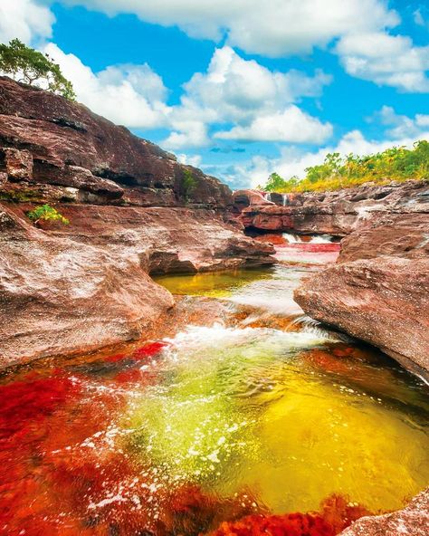 Also known as the River of Five Colors or the Liquid Rainbow Caño Cristales in #Colombia is crystal clear allowing for the vivid colors emanating from the quartzite rocks below to surface and become visible. Studded with rapids and waterfalls the river also offers places to stop for a swim. Book your tour of this beautiful waterway on TripAdvisor. Colombia Travel, Travel South, South America Travel, Places Around The World, Amazing Nature, Natural Wonders, The River, Travel Dreams, Beautiful World