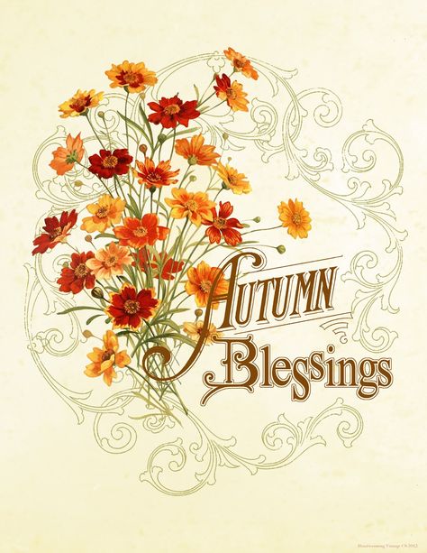 autumn blessings clip art Vintage Paper Crafts, Autumn Blessings, Free Fall Printables, Harvest Blessings, Fall Images, Autumn Fairy, Vintage Thanksgiving, Fall Printables, Subway Art