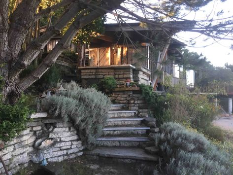 Inverness California, Inverness, Rustic Cabin, Nov 1, Hiking Trails, The National, For Rent, Outdoor Space, National Park