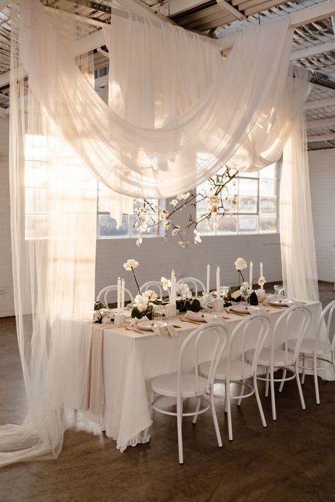 RECEPTION STYLING IDEAS WITH WOW FACTOR – Hello May Draping Wedding, Wedding Table Linens, Indoor Ceremony, Salou, Wedding Mood Board, Wedding Mood, Table Linen, Beautiful Drapes, Wedding Lights