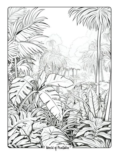 Tropical Forest Drawing, Coconut Tree Sketch, Jungle Drawing Sketches, Rain Forest Drawing, Jungle Plants Drawing, Jungle Drawings, Jungle Art Tropical, Rainforest Drawing, Jungle Sketch